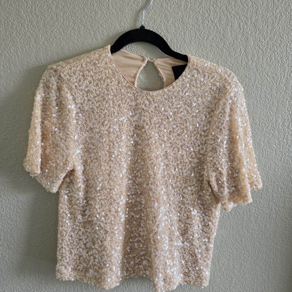 Alex Marie Blush Sequin Short Sleeve Top